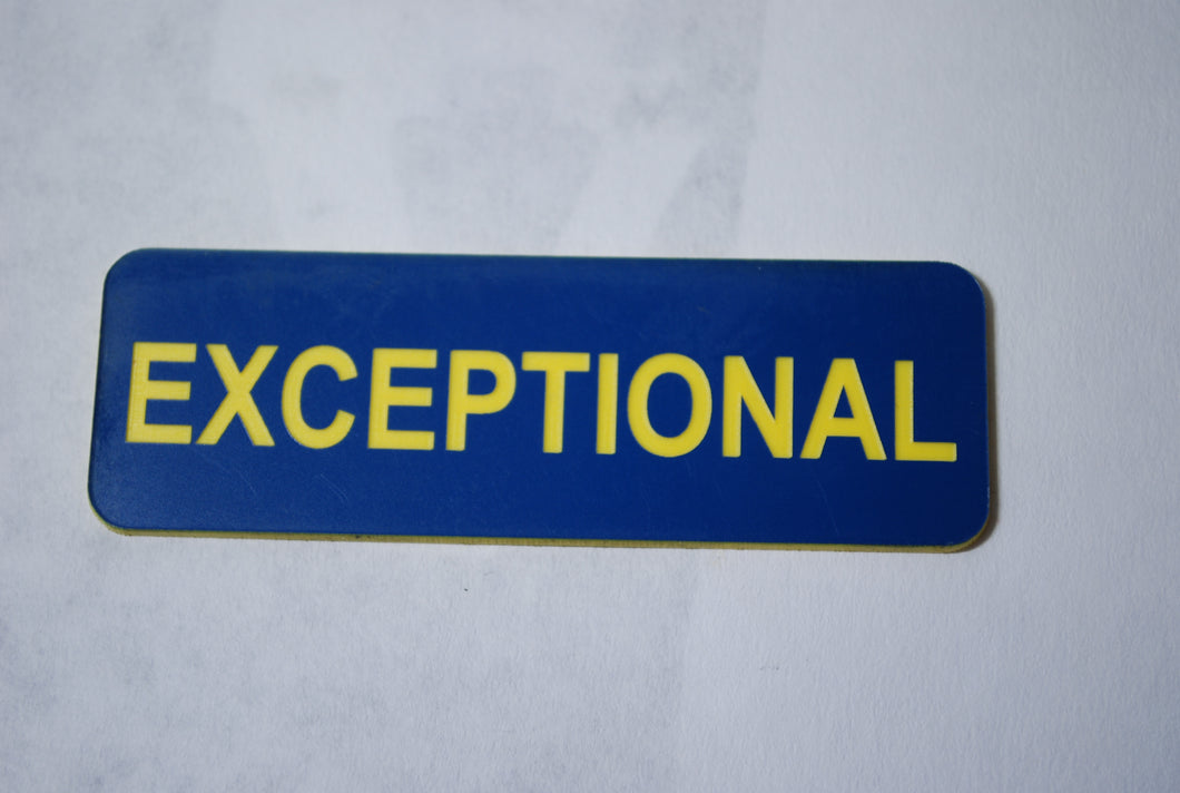 EXCEPTIONAL CLOWN BADGE