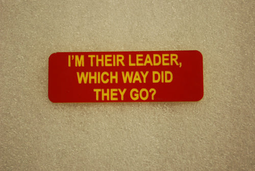 IM THEIR LEADER WHICH WAY DID THEY GO?