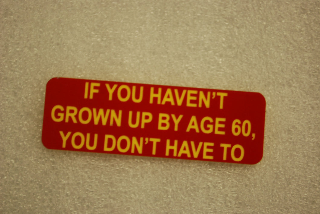 IF YOU HAVE NOT GROWN UP BY AGE 60 YOU DONT HAVE TO