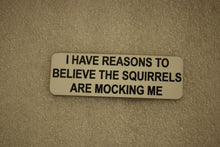 Load image into Gallery viewer, I HAVE REASONS TO BELEIVE THE SQUIRRELS ARE MOCKING ME