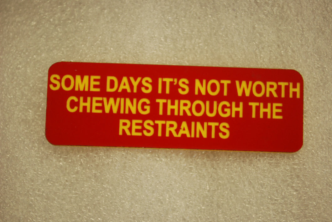 SOME DAYS ITS NOT WORTH CHEWING THROUGH THE RESTRAINTS