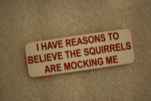 I HAVE REASONS TO BELEIVE THE SQUIRRELS ARE MOCKING ME