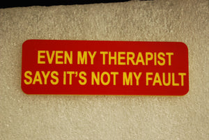 EVEN MY THERAPIST SAYS ITS NOT MY FAULT