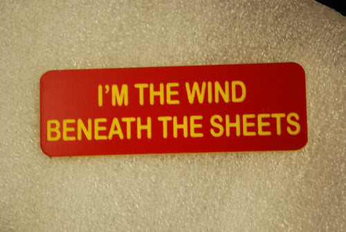 I'M THE WIND BENEATH THE SHEETS