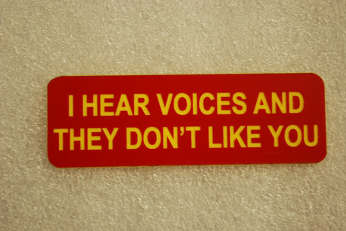 I HEAR VOICES AND THEY DONT LIKE YOU