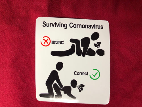 Surviving Cornonavirus sticker